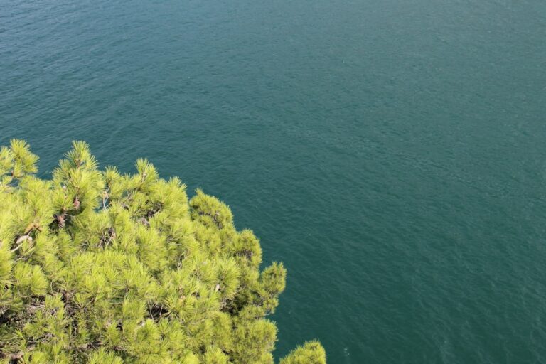 Jezioro Jarosławskie Wielkopolska – co warto zobaczyć i kiedy jechać