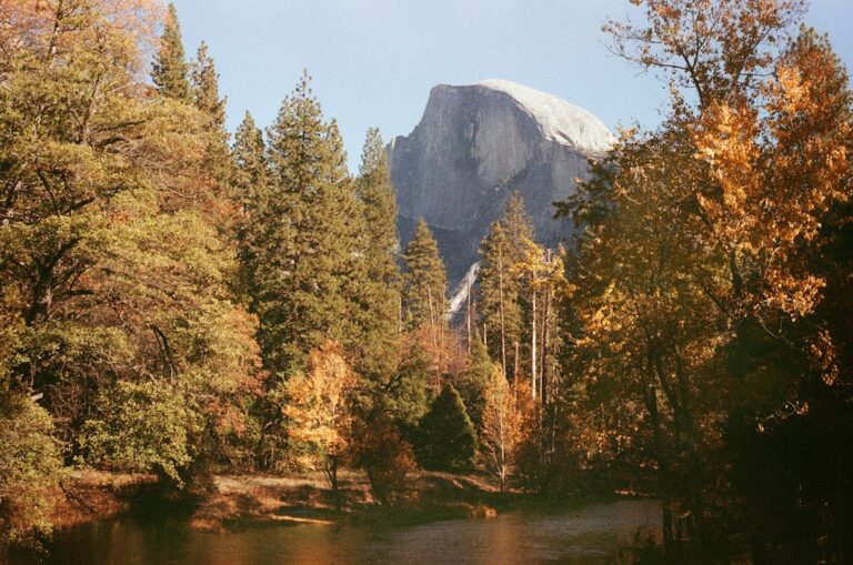 Wielkopolski park narodowy – co warto zobaczyć najpierw